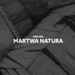 Martwa natura - Kurs rysunku online KRO002
